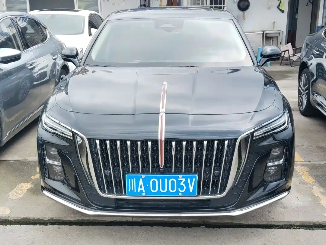 Hongqi H5 2023 2.0T Auto Smart Connect Flag Enjoy фото 2
