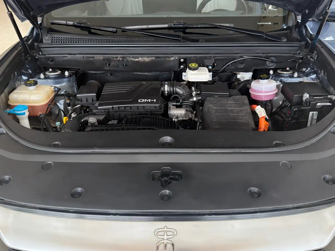 BYD SONGJIANG NEW ENERGY