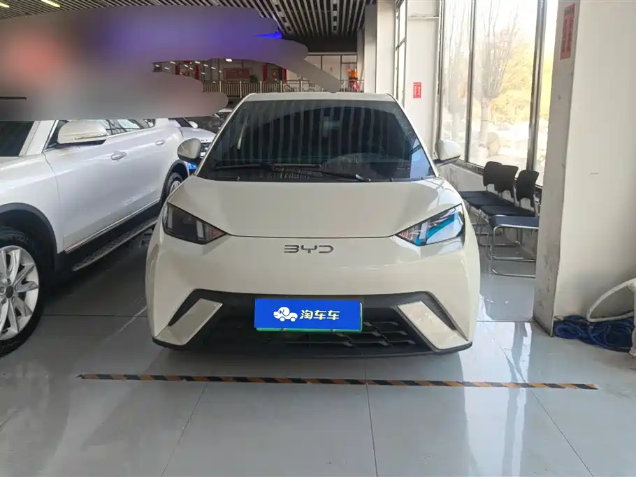 BYD SEAGULL