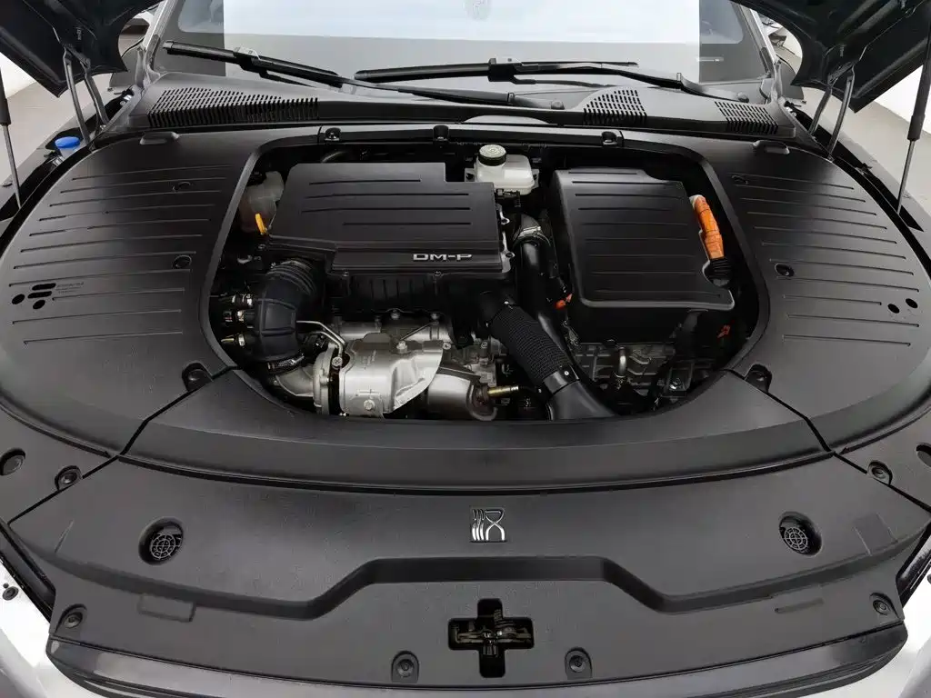 Фото 6 - BYD Han