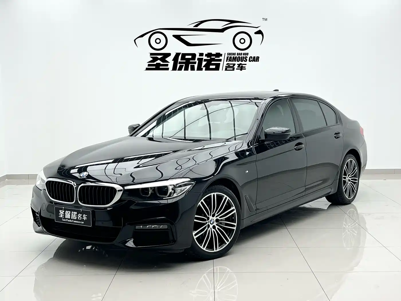BMW 5 Series 2019 530Li Leading M Sport Package