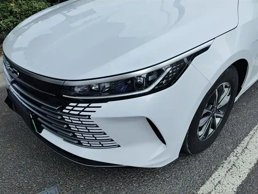 BYD Destroyer 05 2024 Glory Edition DM-i 55KM Luxury фото 24