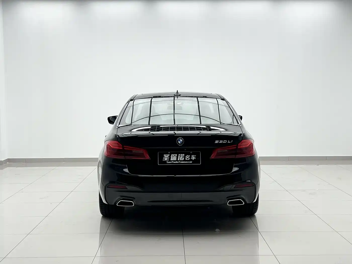 BMW 5 Series 2019 530Li Leading M Sport Package фото 5