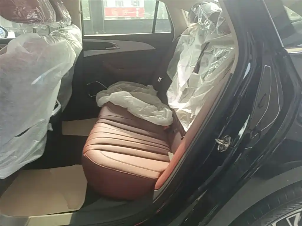 Hongqi H5 2025 2.0T Automatic Flag Celebration 500,000 Units Anniversary Edition фото 17