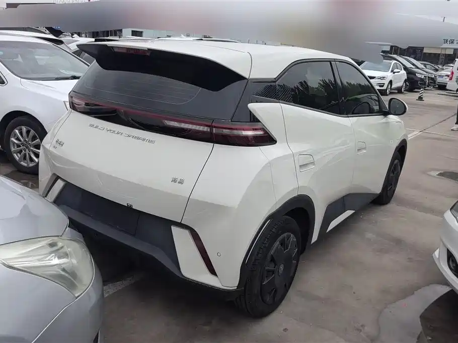 BYD Seagull 2023 Vitality Edition фото 3
