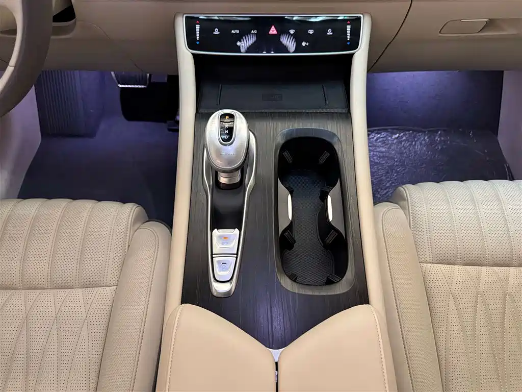 Voyah Auto Voyah Dreamer 2024 PHEV Extended Range Premium Edition фото 16