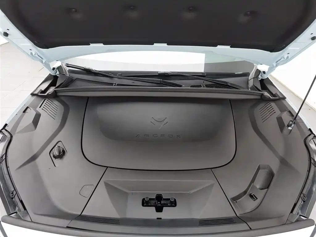 ARCFOX EXTREME FOX POLAR FOX ALPHA T5