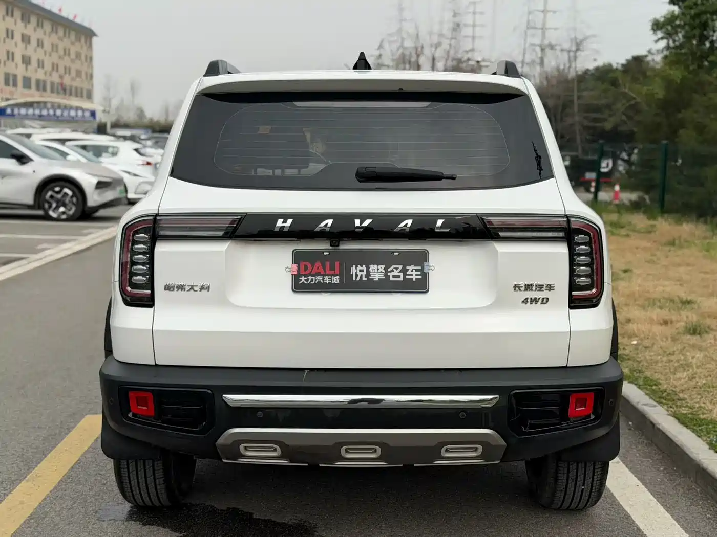 HAVAL BIG DOG