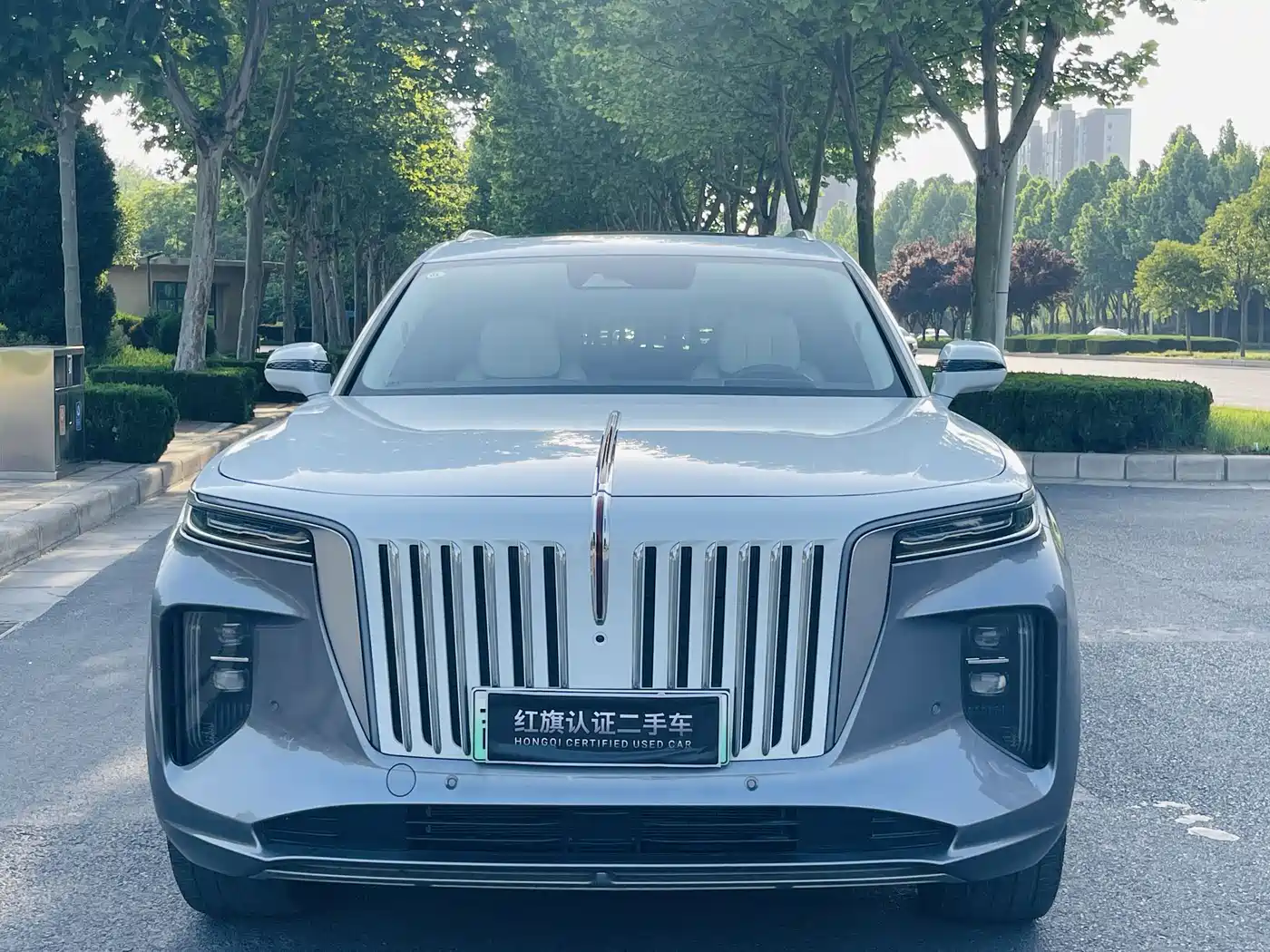 Hongqi E-HS9 2022 660km Qi Ling Edition (4-seater) фото 2