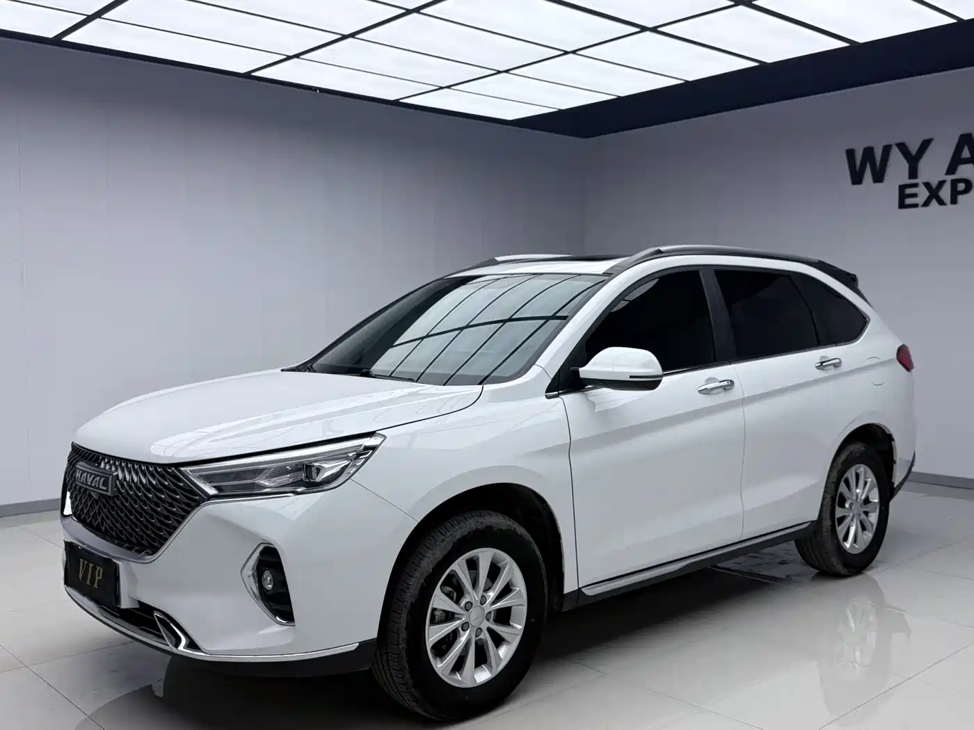 HAVAL M6