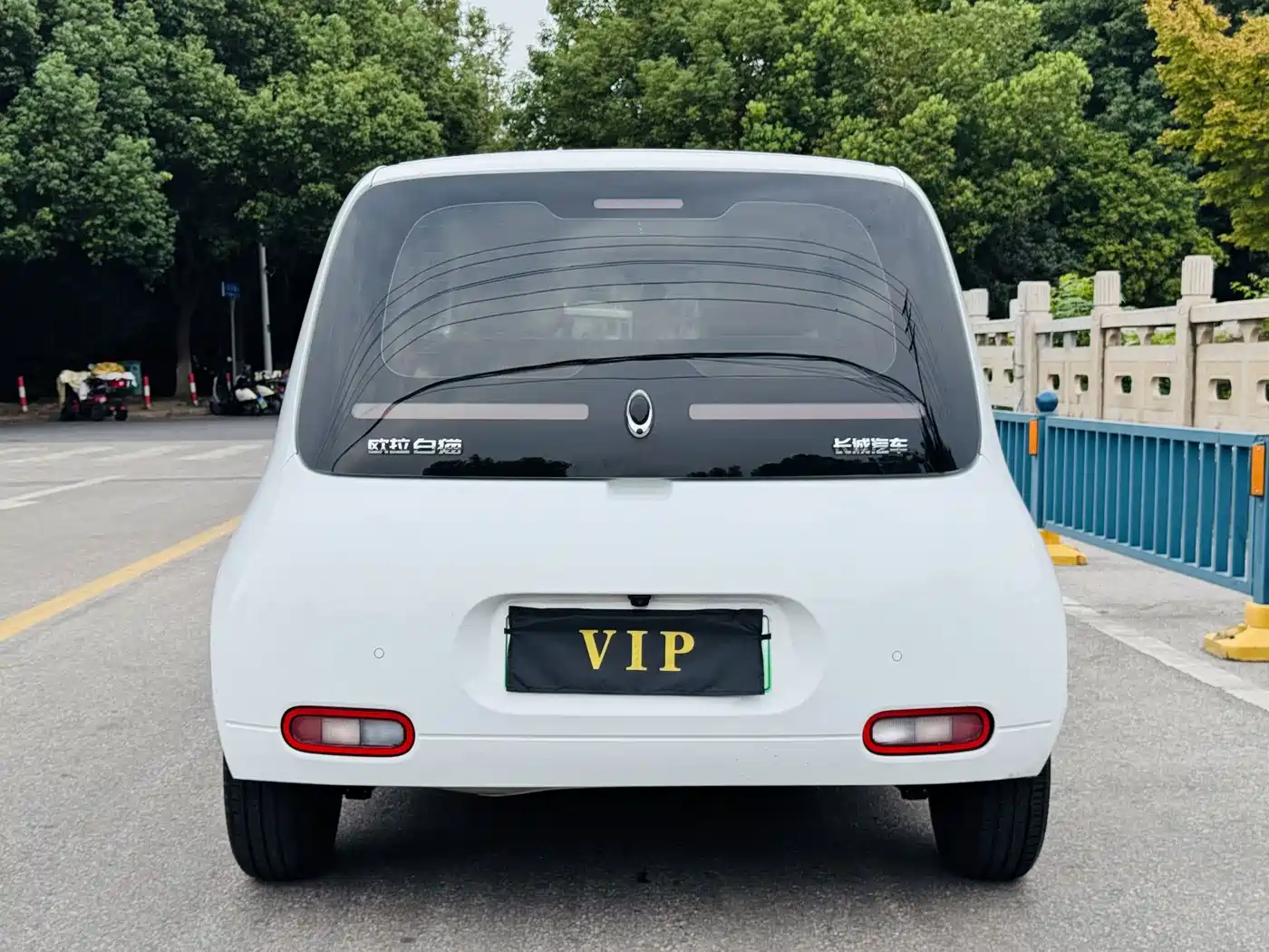 Ora White Cat 2021 2020 360km Luxury Model