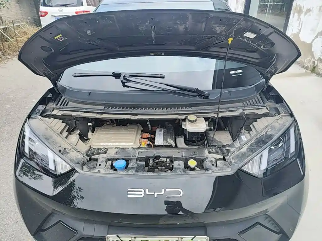 BYD Seagull 2023 2023 Vitality Edition