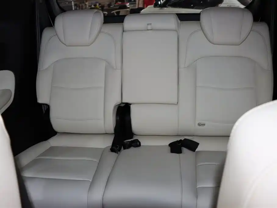 GAC Trumpchi Trumpchi M8 2023 Model Master Series Hybrid Royal Edition фото 12