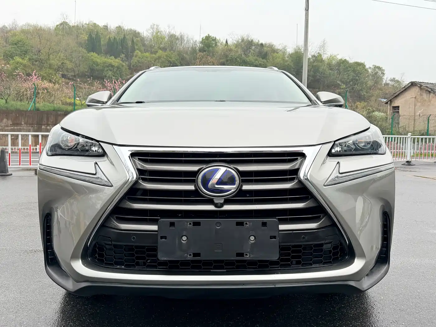 Lexus NX 2015 300h FWD Luxury фото 2