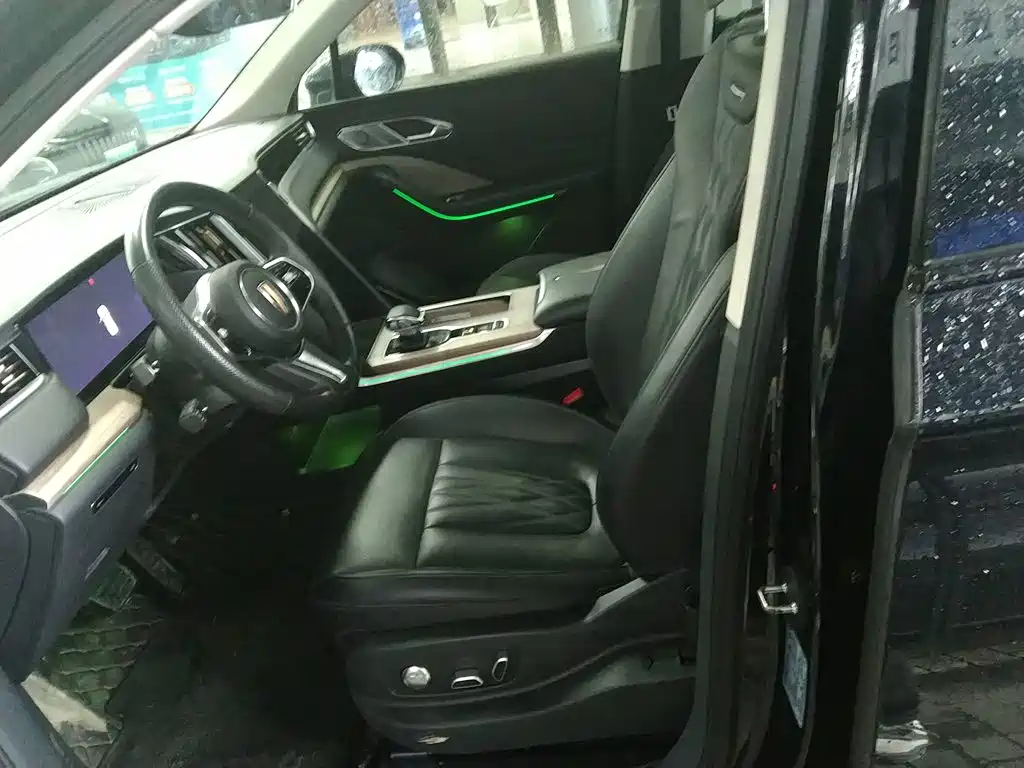Photo 11 - Hongqi HS7