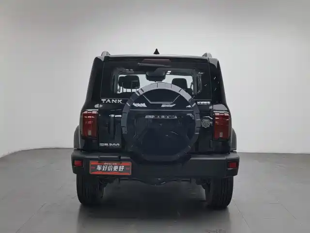Tank 300 2023 Off-Road Edition 2.0T Conqueror — фото 4