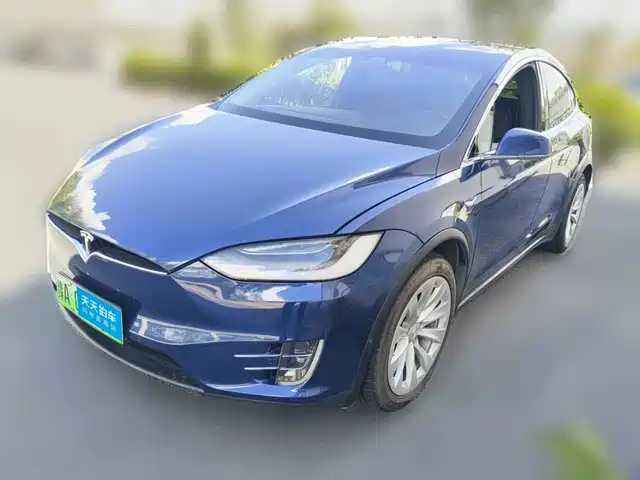 Tesla Model X 2019 Long Range Version — фото 1