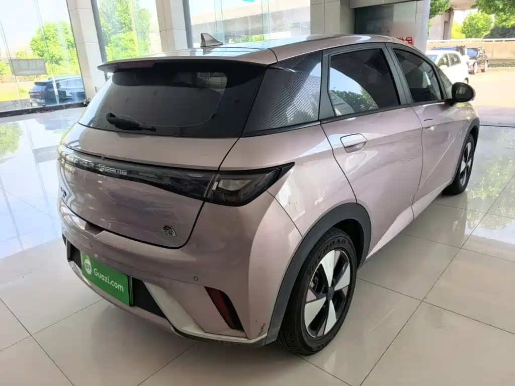 Фото 7 - BYD Dolphin