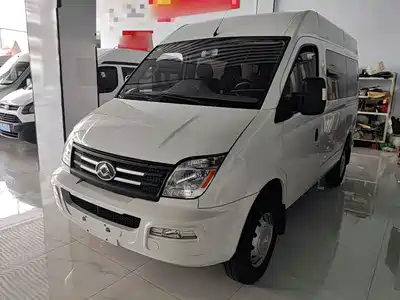 Maxus New V80