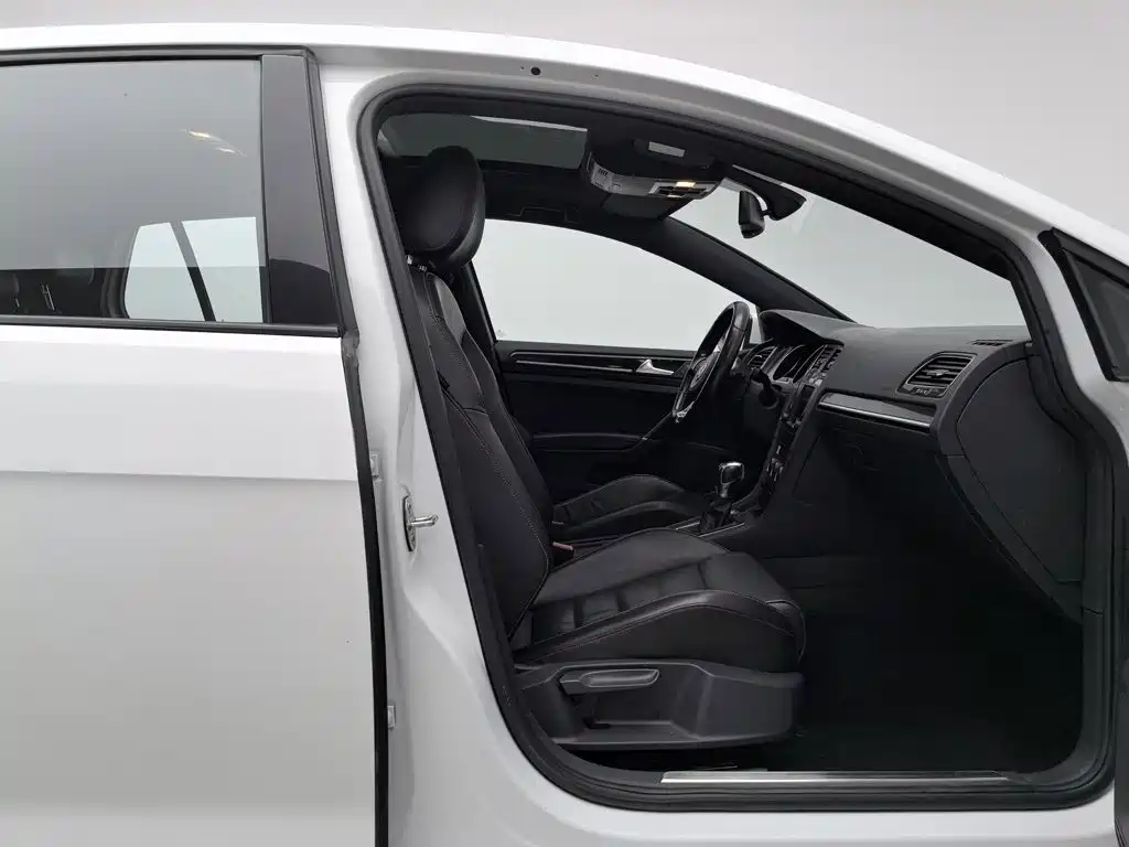 Volkswagen Golf GTI 2016 2016 2.0TSI GTI
