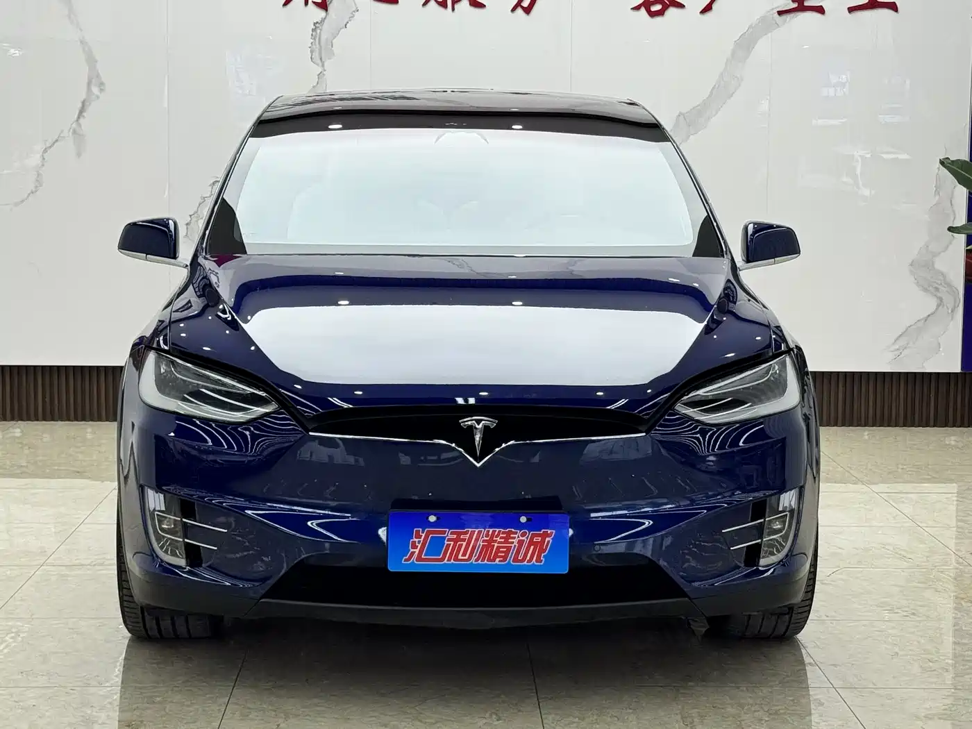 TESLA MODEL X