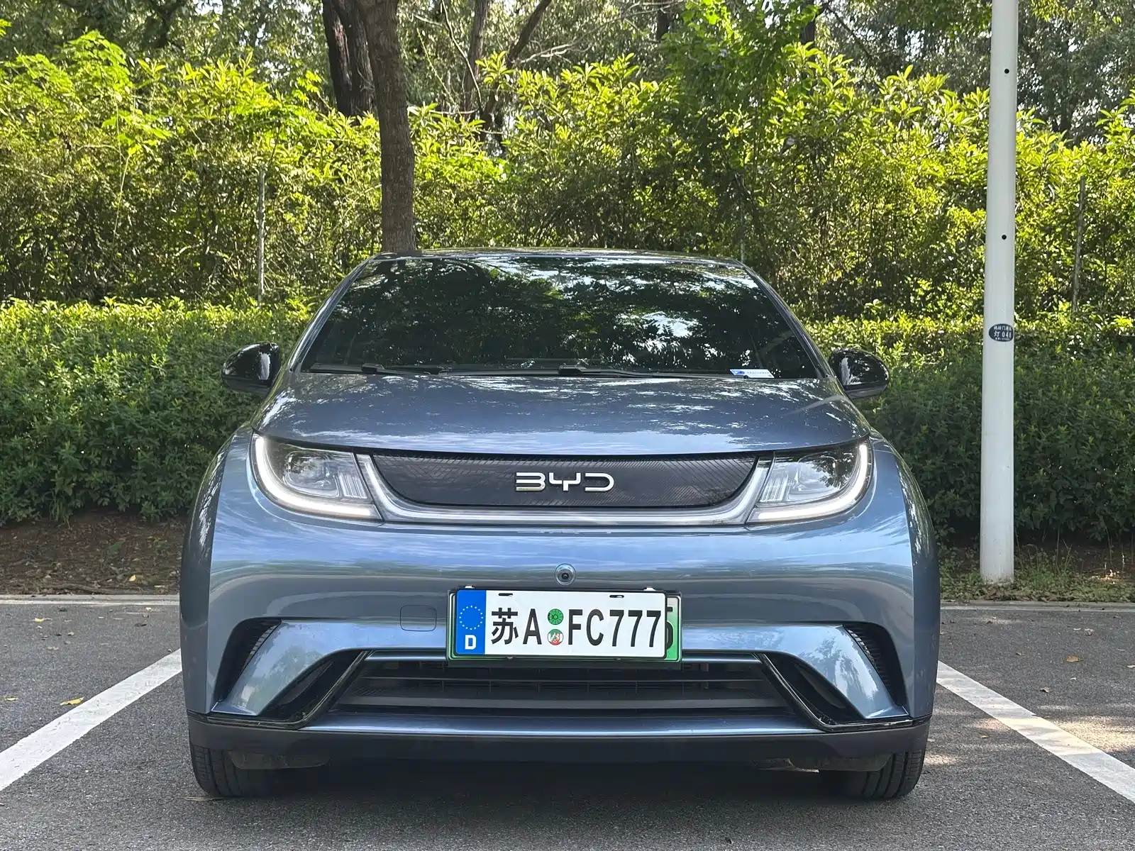 Фото 2 - BYD Dolphin