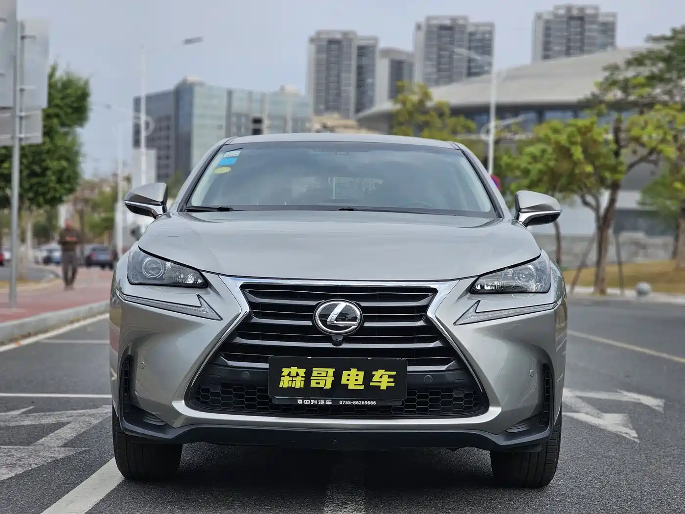 LEXUS NX
