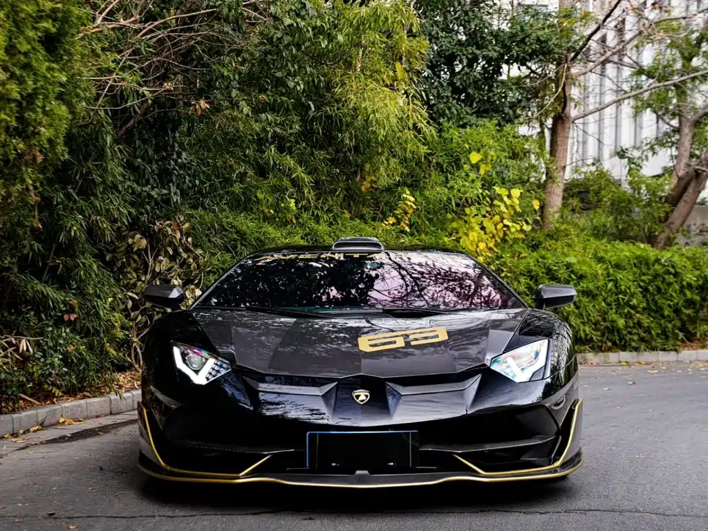 Lamborghini Aventador 2019 2019 Aventador SVJ