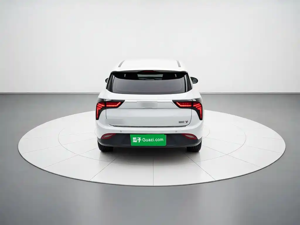 Nezha Auto Nezha V 2021 2021 Standard Range Entertainment Upgrade