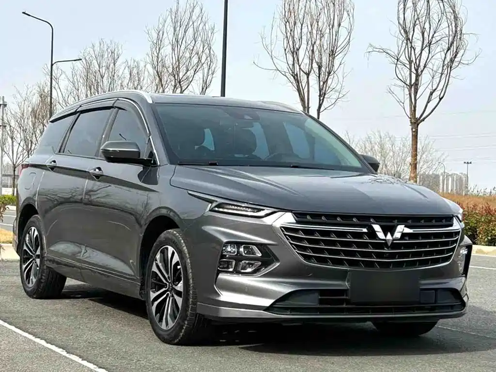 2022 Wuling Motors Wuling Victory