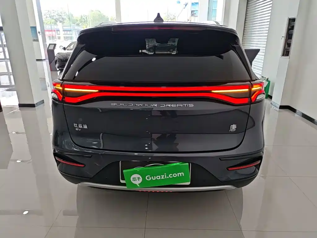 Photo 6 - BYD Tang New Energy