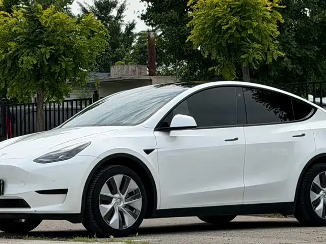 Tesla Model Y Задний привод