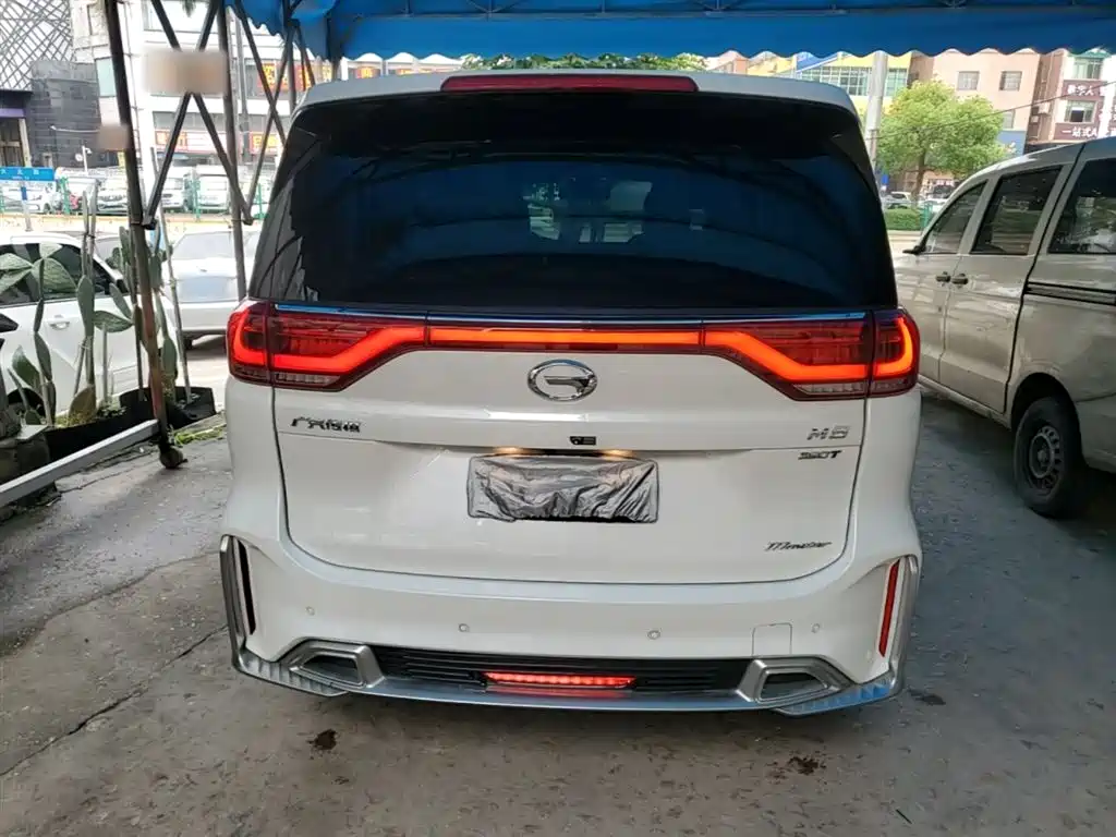 GAC Trumpchi Trumpchi M8 2021 Master Series 390T Prestige Edition фото 6