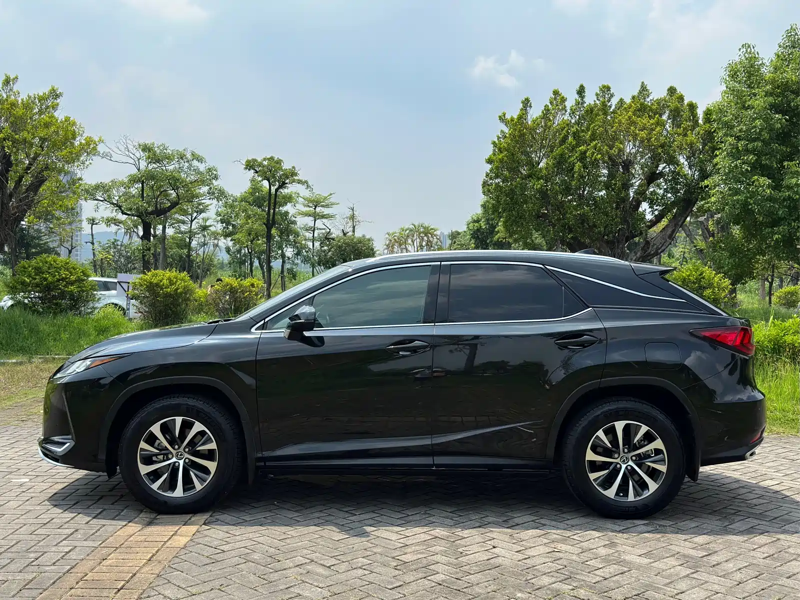 Фото 7 - Lexus RX