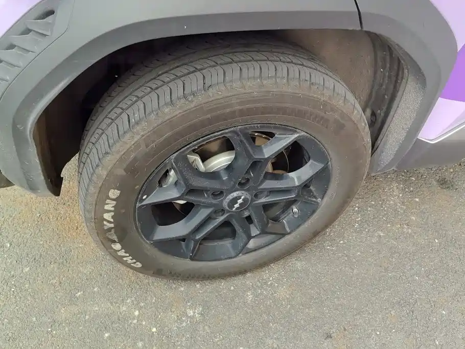 Fang Cheng Bao Titanium 3 2025 2025 501KM RWD Smart Drive Max