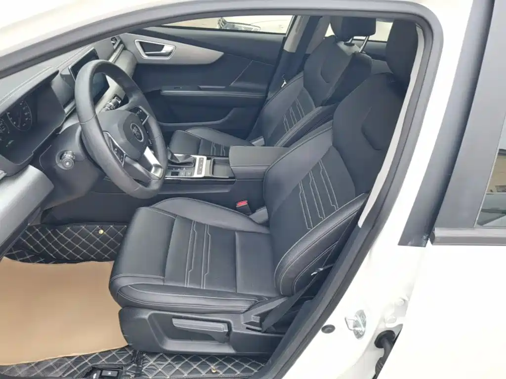 BYD Qin 2020 2019 1.5L Automatic Luxury Edition
