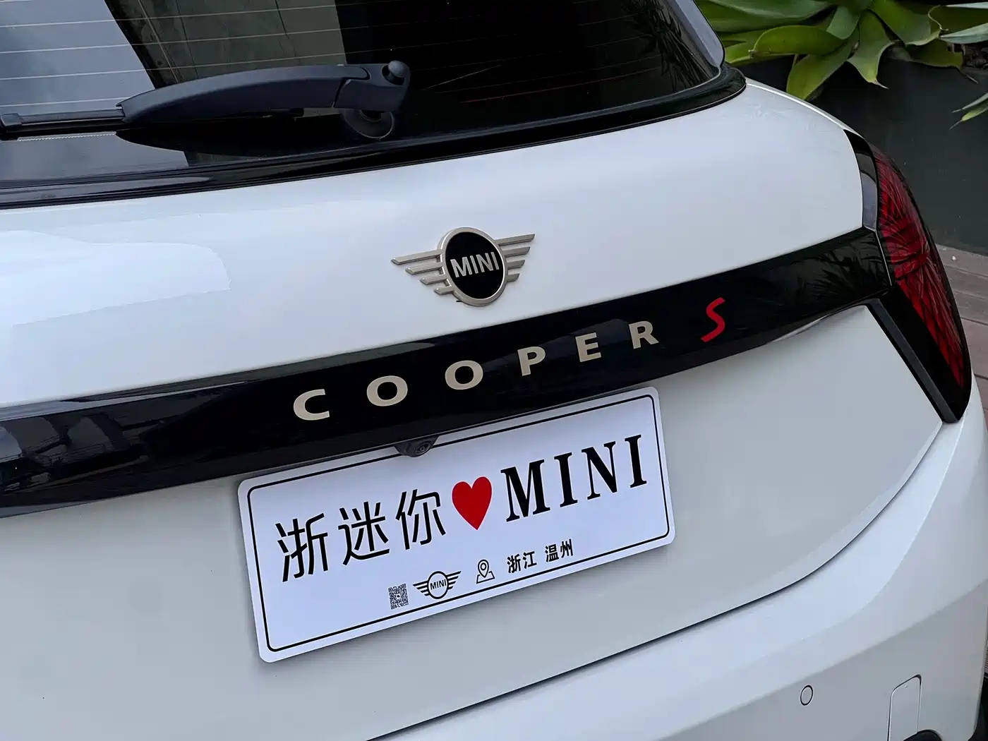 MINI MINI 2025 2025 Model 2.0T COOPER S Artist 5-Door