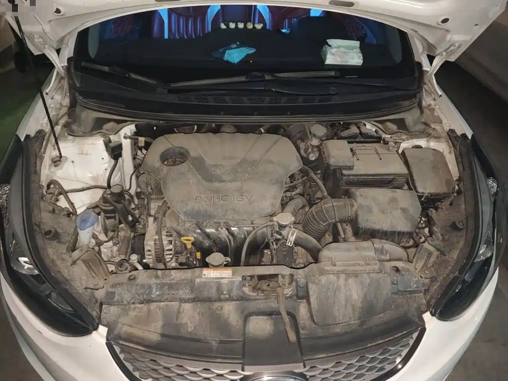 Hyundai Langdong 2018 2016 1.6L Automatic Smart Edition