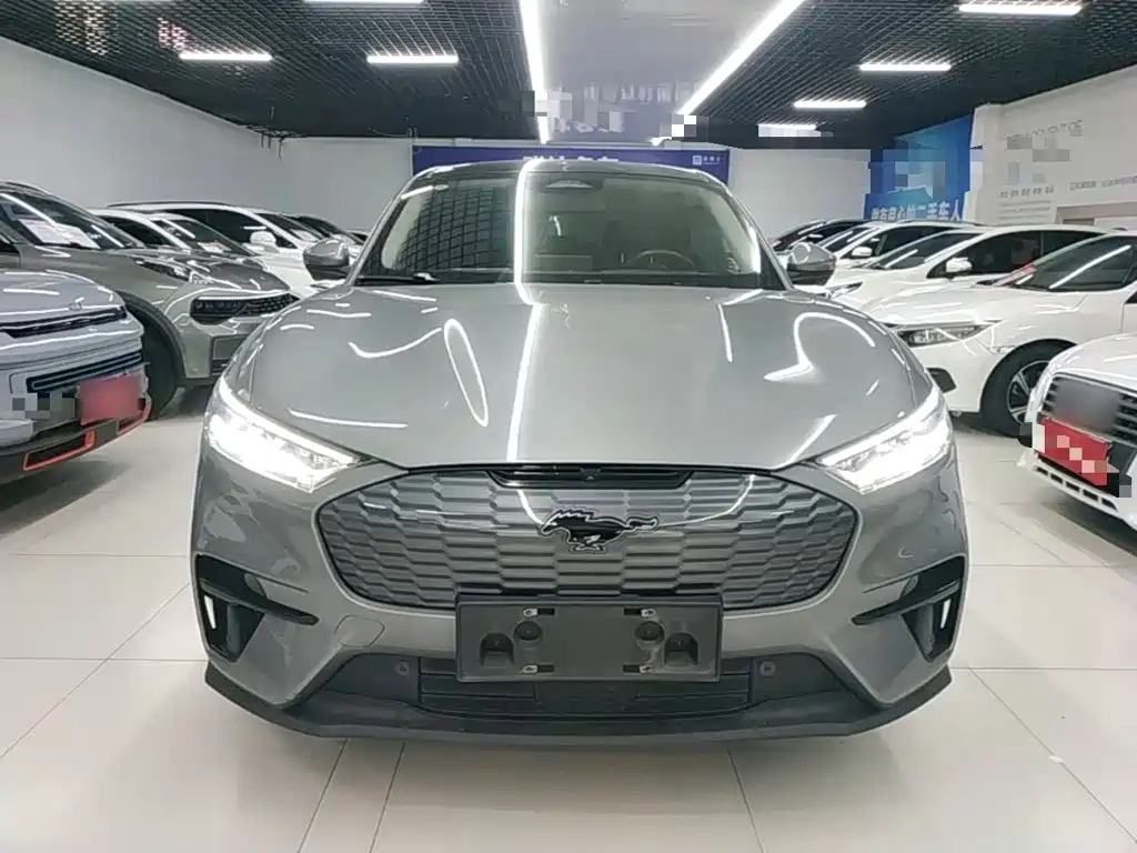 Ford Mustang Mach-E 2022 2021 Leap World RWD (Standard Range)