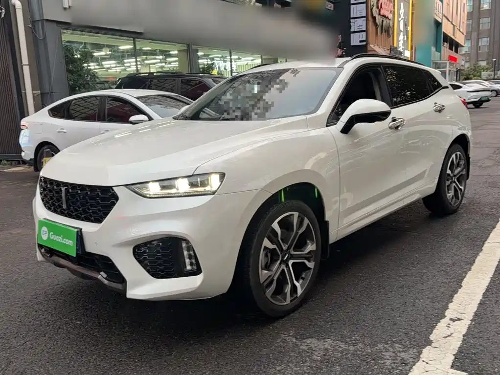 WEY VV7 2019 2017 2.0T Super Luxury