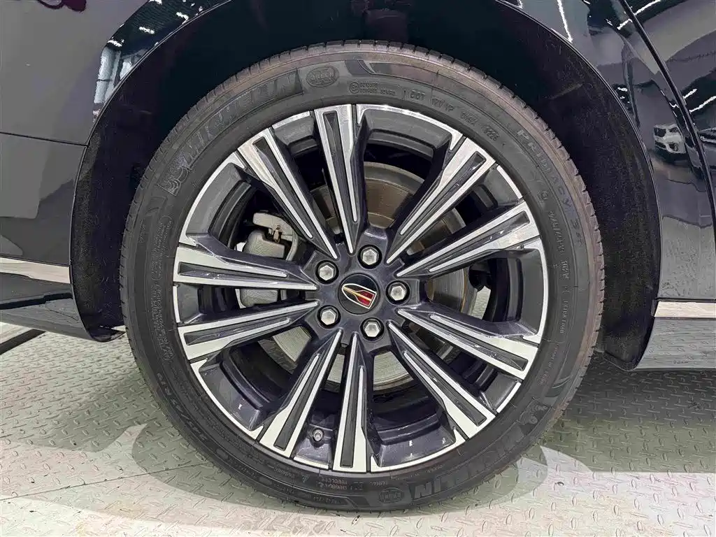 Hongqi H9 2025 2024 2.0T Qi Enjoy Private Fashion Edition