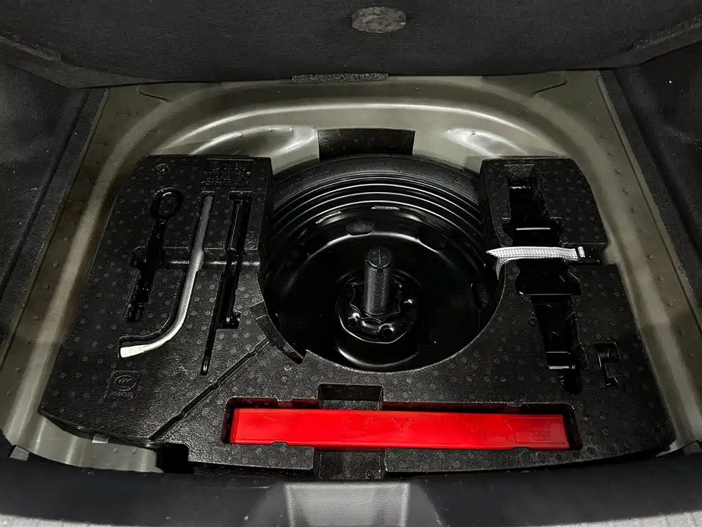 Photo 32 - Volkswagen Sagitar