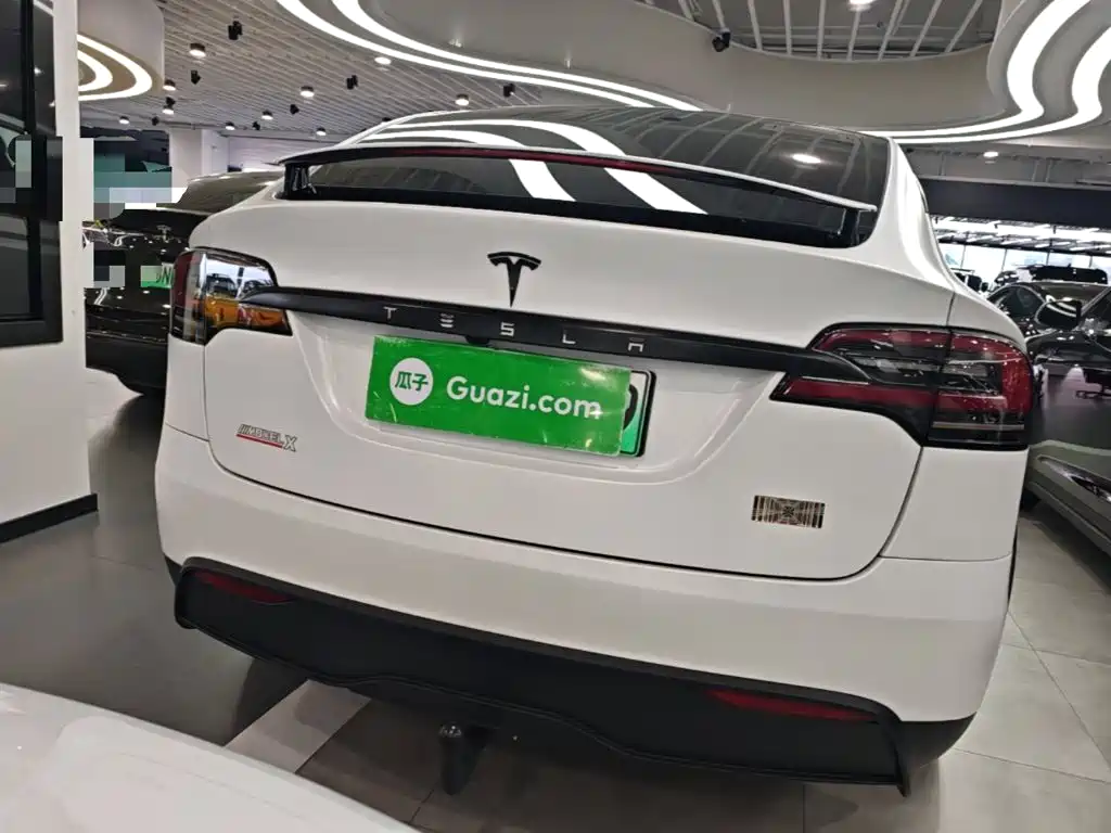 Tesla Model X 2024 2023 Dual Motor All-Wheel Drive Edition