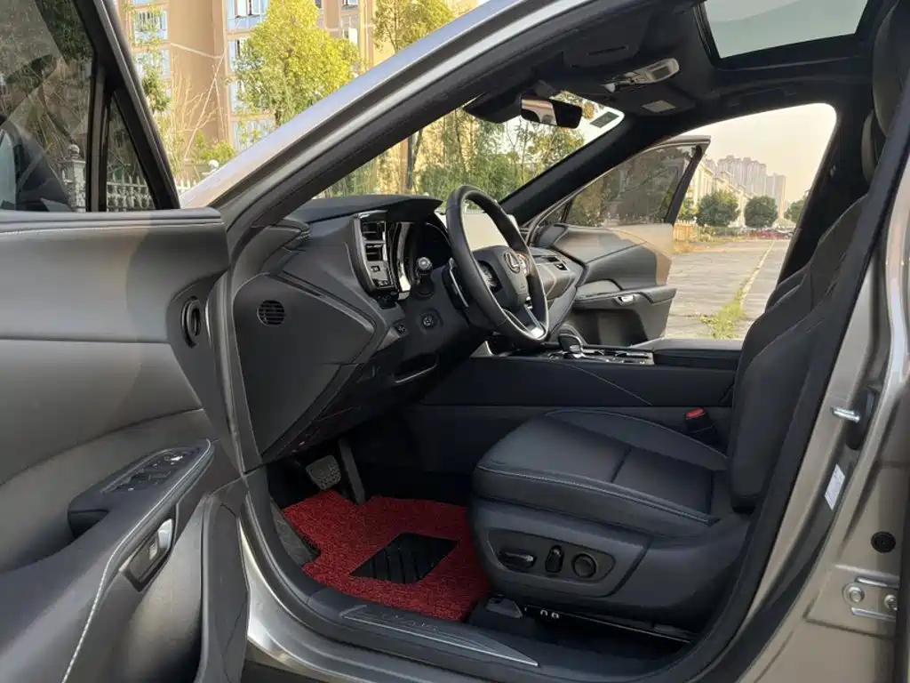 Фото 21 - Lexus RX