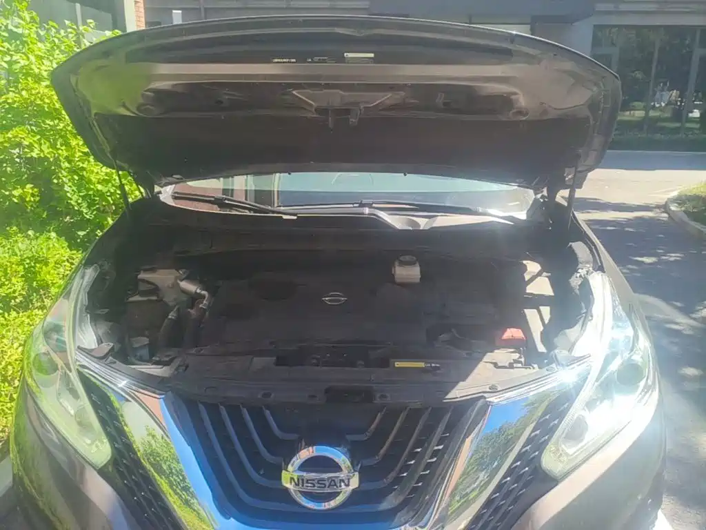 Nissan Murano 2020 2019 2.5L XL 2WD Smart Connect Luxury Edition (China VI)