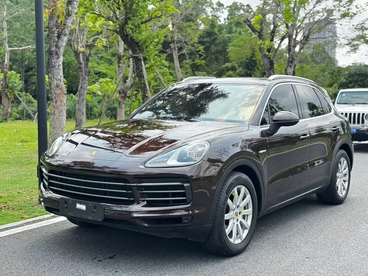 PORSCHE CAYENNE NEW ENERGY