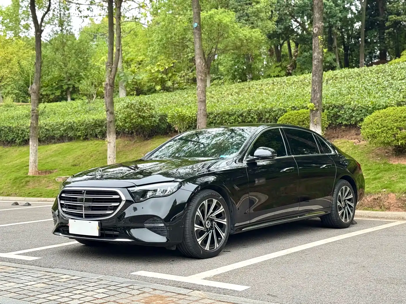 Mercedes-Benz E-Class 2025 E 300 L Luxury фото 2