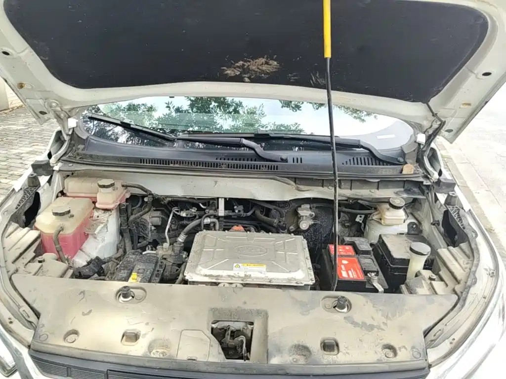 BYD Yuan New Energy 2020 2019 EV535 Smart Connected Trend Leader Type