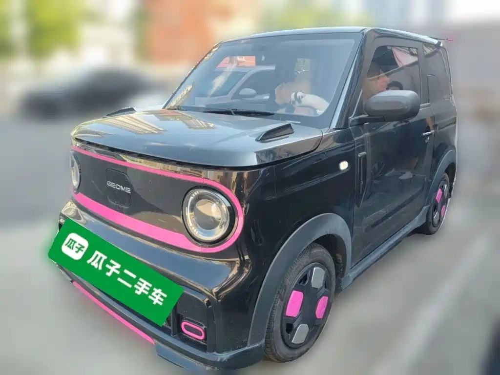 Geely Galaxy Panda 2026 2025 Model Year 210km Panda Kart