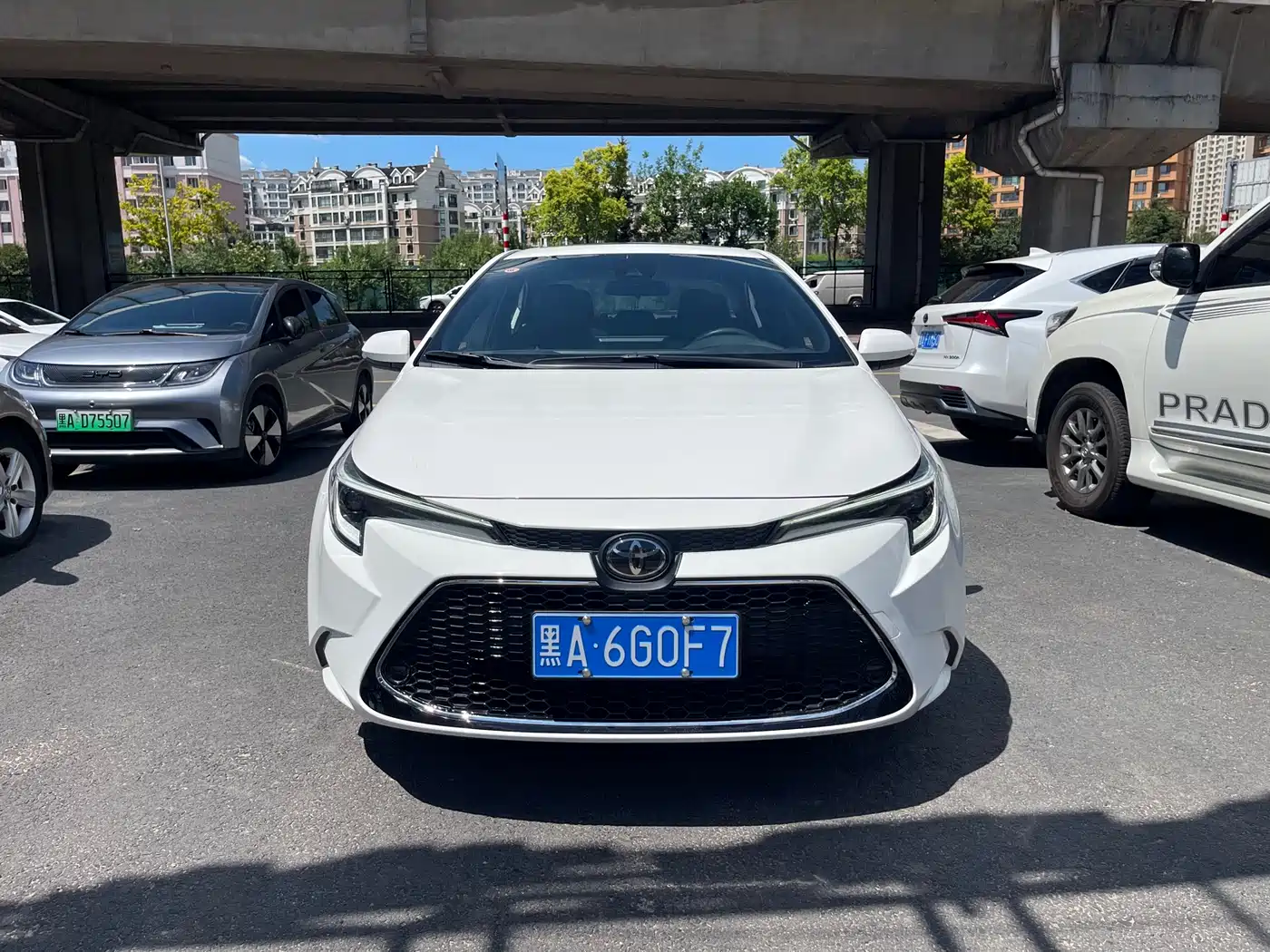 Toyota Levin 2025 2024 185T CVT Luxury Edition